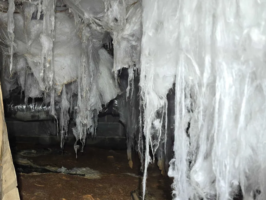 Fiberglass insulation hanging in loose strands from the floor joists above a damp dirt crawl space floor.