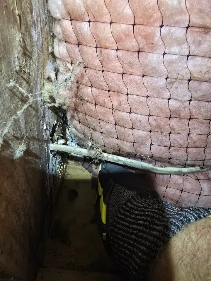 A Rozier Pest Control & Waterproofing technician inspecting abundant cobwebs and moisture damage in a dark crawl space.