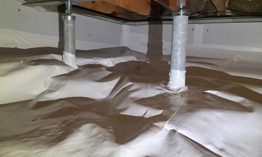 Adjustable steel supports and beam reinforcement installed by Rozier Pest Control & Waterproofing beneath a floor system.