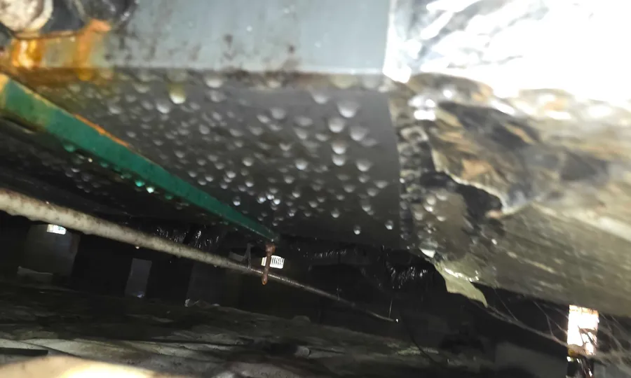 Condensation beading on ductwork in a damp basement, photographed during a Rozier Pest Control & Waterproofing inspection.