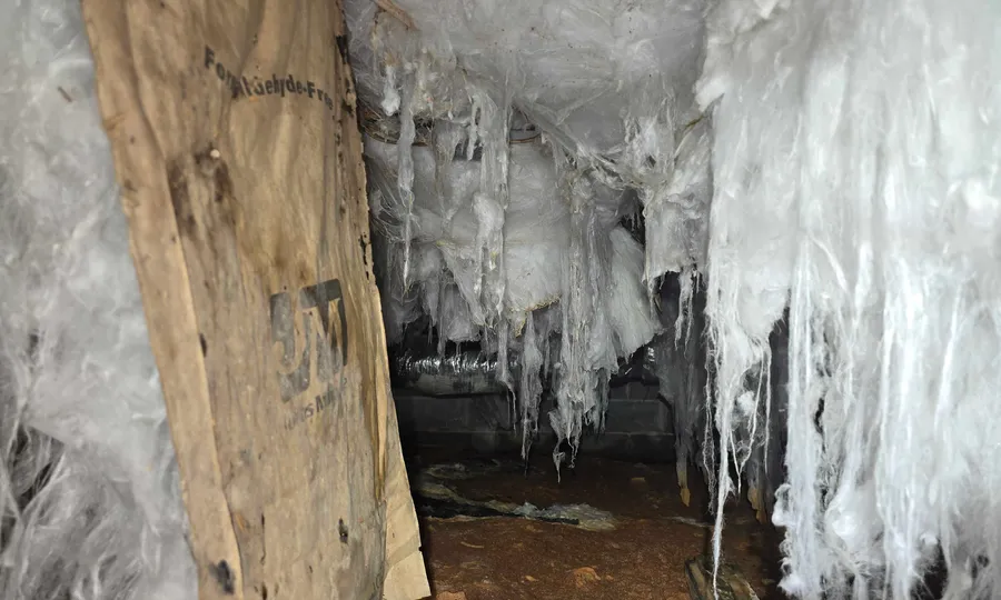 Heavily deteriorated insulation hanging from joists in a damp crawl space inspected by Rozier Pest Control & Waterproofing.