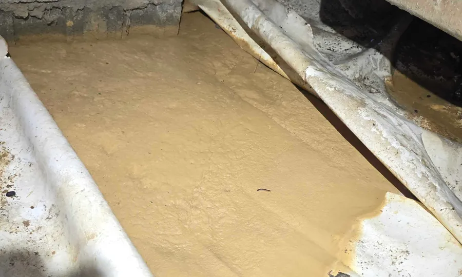 Standing water on top of a failed vapor barrier in a crawl space inspected by Rozier Pest Control & Waterproofing.