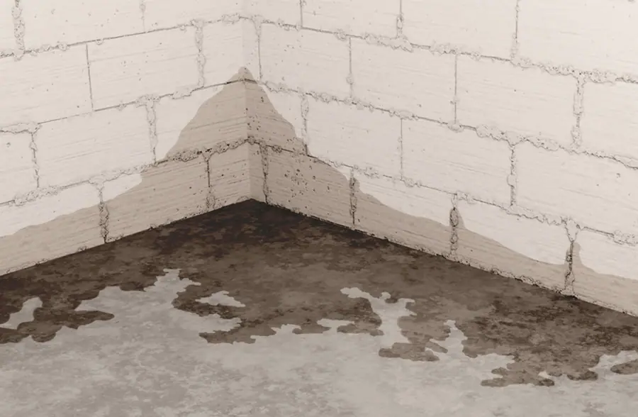 Illustration of water staining and pooling on a concrete basement floor and block foundation wall due.