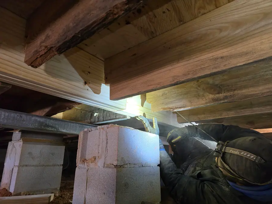 A Rozier Pest Control & Waterproofing technician repairing decaying wood beams and floor joists in a damp crawl space.
