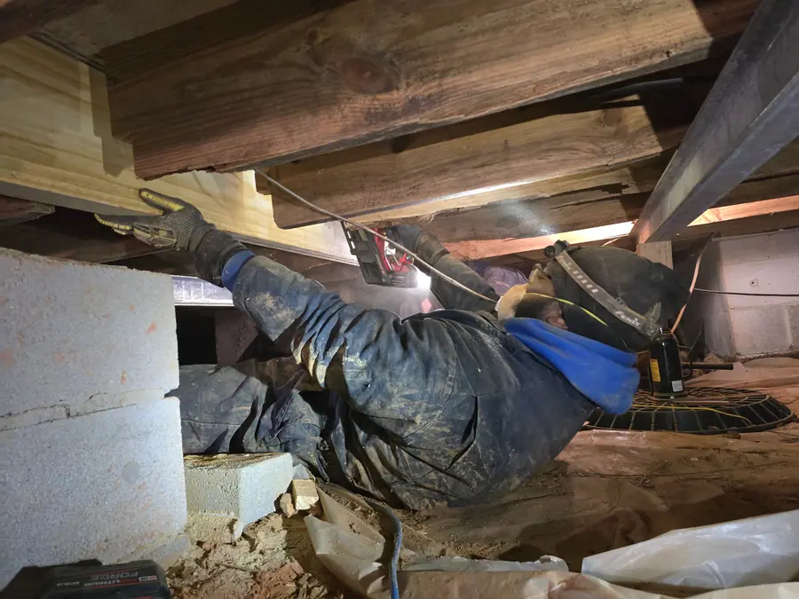 A Rozier Pest Control & Waterproofing technician reinforcing wooden floor joists in a cramped crawl space.