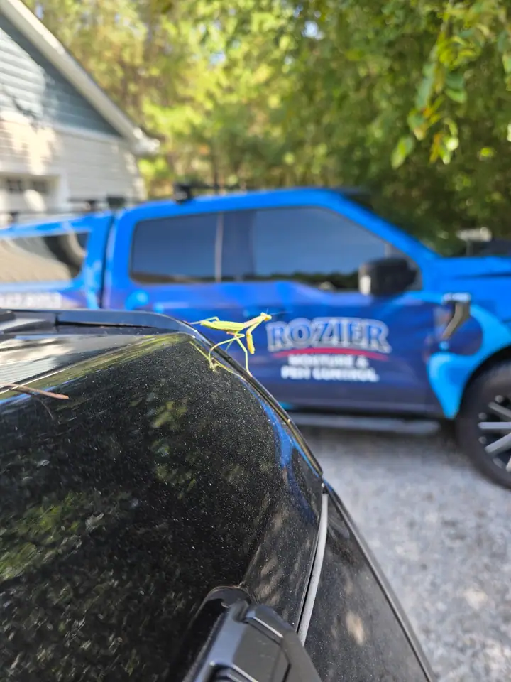 A Rozier Pest Control & Waterproofing truck in the drive, with a praying mantis on the hood of the car in front.