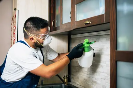 termite control
