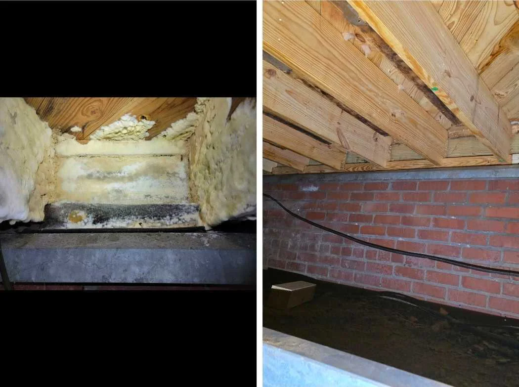 Rozier Pest Control & Waterproofing inspecting a crawl space with standing water and deteriorating insulation.