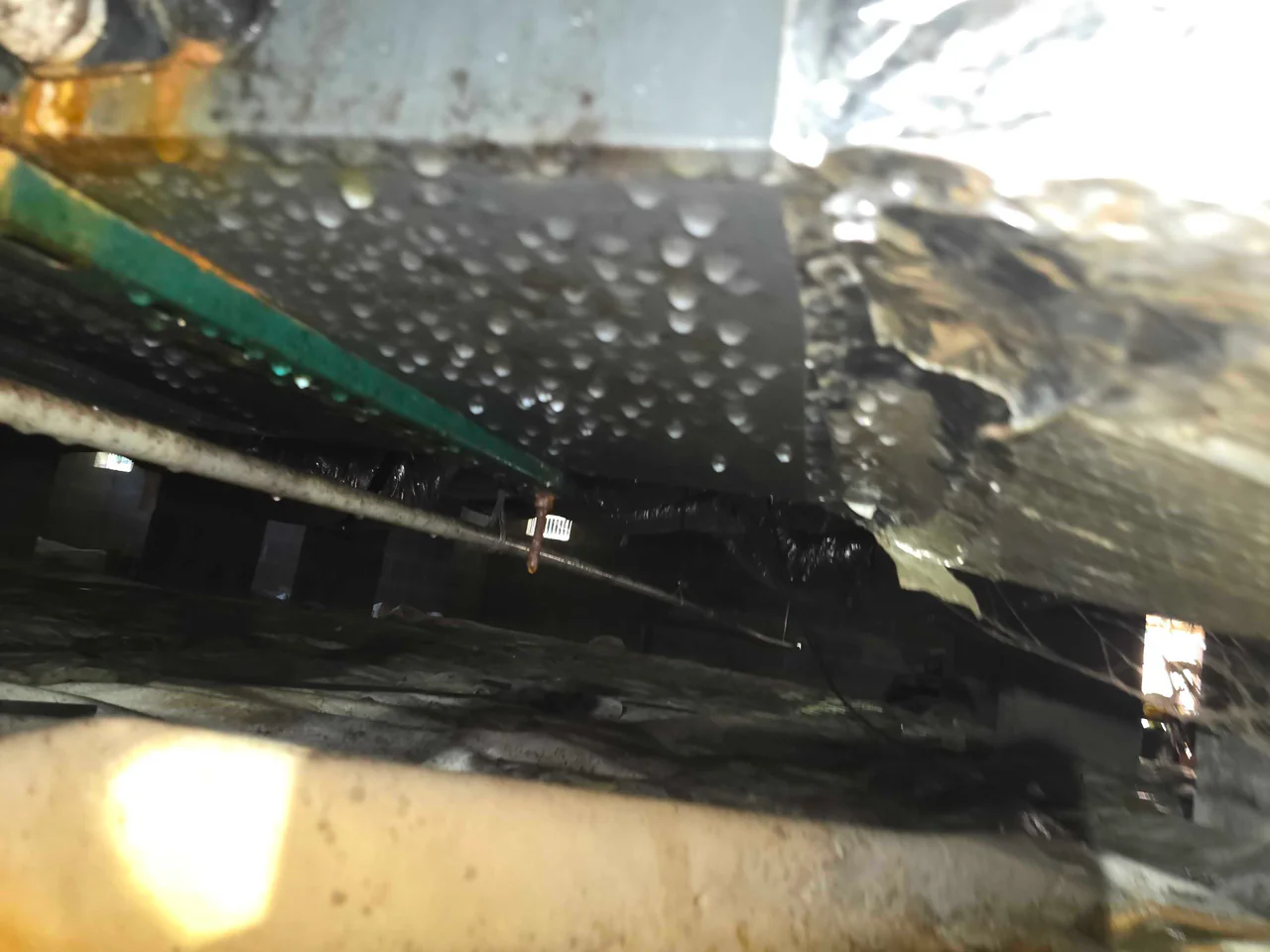 Rozier Pest Control & Waterproofing identifying condensation on hvac vents and metal surfaces in a damp basement.
