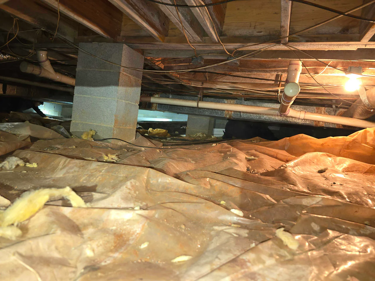 Rozier Pest Control & Waterproofing inspecting a crawl space with damp, deteriorating insulation and a crumpled vapor barrier.